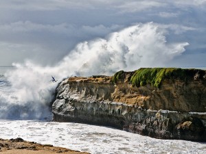 Surfer jumps off cliff