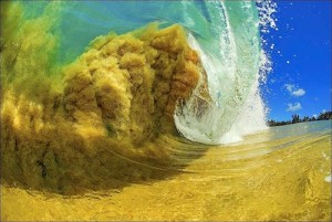 wave image
