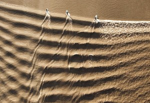 golden bore surfing