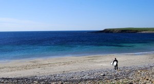 surfer no waves
