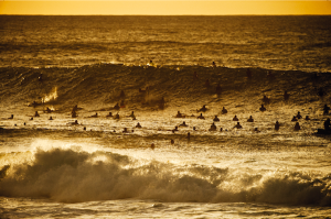 Pipeline crowds surfing sunset