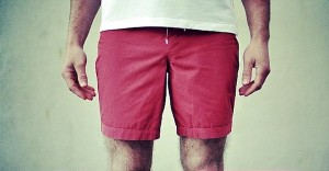 fellow board shorts