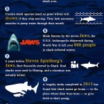 shark week infographic