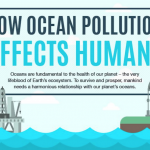 Ocean pollution humans