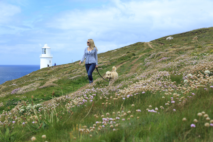 Trevose Head dog walking by John Miller