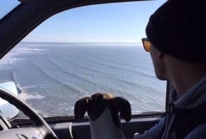 Tom Metcalf surf check