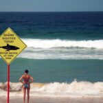 shark-sighting-sign