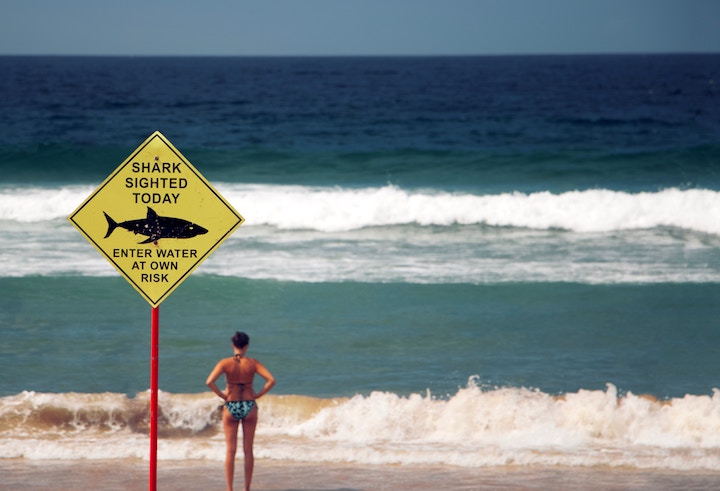 shark-sighting-sign