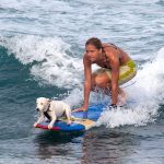 Soft top surfing with friends