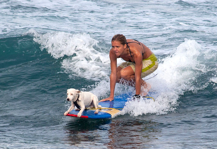 Soft top surfing with friends